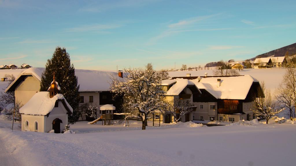Erlachmuehle Mondsee Εξωτερικό φωτογραφία